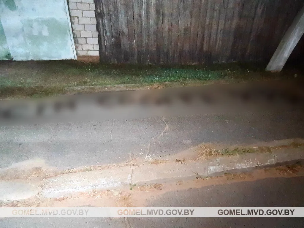 Житель Жлобина получил 3 месяца ареста за нанесение циничных надписей